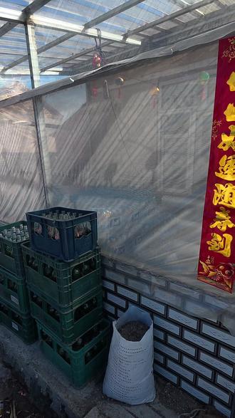 今天去屯子整点粘豆包 没想到还整到了小豆腐跟笨鸡蛋 #农村生活 #东北 #真实生活分享计划 #粘豆包 #热点