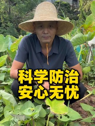 科学防治安心无忧#三农#三农种植#农业#病虫害防治#农业种植