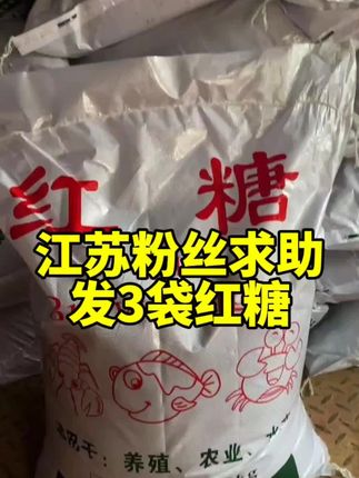 #种植红糖源头工厂批发#红糖浇地