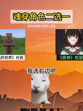 给你一次机会,你会选择那个#翻唱#穿越#千千#猫meme#二选一