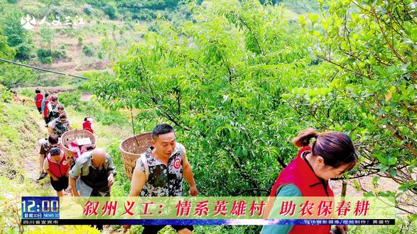 叙州义工:情系英雄村、助农保春耕 春风拂沃野,春耕正当时。古语云:“一年之计在于春,一日之计在于晨”,春播一粒种,秋收万颗粮,春耕不仅是时序的轮回,更是希望的启航。2026 年 4 月 26 日,宜宾市叙州义工联合会的 33 名志愿者,踏着和煦春风,走进安边镇英雄村,以 “情系英雄村,助农保春耕” 为主题,用双手耕耘田地,用爱心传递温暖,书写新时代的志愿华章。
十年坚守,初心如磐。自 2016 年起,志愿者们便持续帮扶劳动力不足的农户,十年如一日,未曾间断。正所谓 “滴水穿石,非一日之功;冰冻三尺,非一日之寒”,这份长久的陪伴,早已超越简单的劳作,成为扎根乡土的温情守护。田间地头,老手传技巧,新手勤学习,从生疏到熟练,从笨拙到娴熟,志愿者们躬身泥田,分苗、插秧,一丝不苟,用汗水浇灌希望。
同心协力,暖意融融。烈日之下,志愿者们卷起裤脚,踏入水田,不畏泥泞,不惧辛劳。孩童志愿者跌倒又爬起,笑语不断;众人分工协作,运输、后勤、宣传、义剪,各司其职,高效联动。正如 “人心齐,泰山移”,短短两个多小时,便圆满完成插秧任务。80 岁老人望着满田新绿,眼含热泪,这份质朴的感动,是对志愿精神最好的礼赞。
劳作之余,义剪服务贴心周到,后勤饭菜香气四溢,田间笑语声声,尽显人间温情。少年志愿者感慨农耕艰辛,更懂珍惜粮食、尊重劳动,让传统美德在实践中传承。
春种一粒粟,秋收万颗子。叙州义工以实干解民忧,以温情暖民心,让 “志愿红” 点亮乡村田野。未来,他们将继续深耕公益,让爱心永续,让温暖常伴,为乡村振兴注入源源不断的志愿力量。
#人文三江 #叙州义工 #公益活动 #插秧