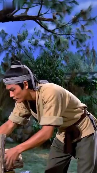 你是否在雪山……#酱板鸭 #狐狸 #雪山 #Ai电影