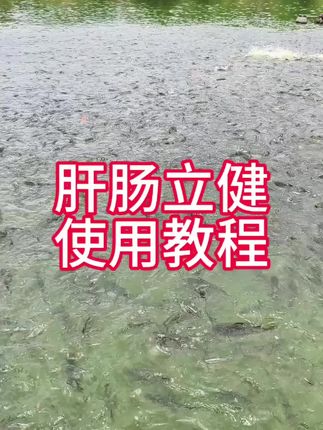 加料的同时,加强做好内服保健和水质调节