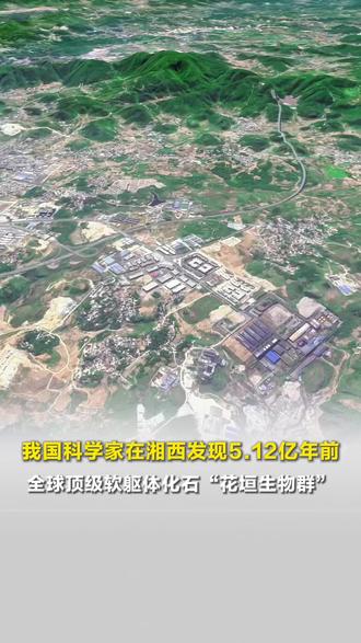 我国科学家在湘西发现5.12亿年前,全球顶级软躯体化石“花垣生物群”,揭开显生宙首次生物大灭绝的面纱#花垣生物群 #重大发现 #科学家 #湖南湘西 #软躯体化石