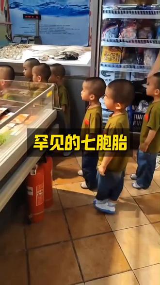 国内非常罕见的七胞胎 !多么有福气!