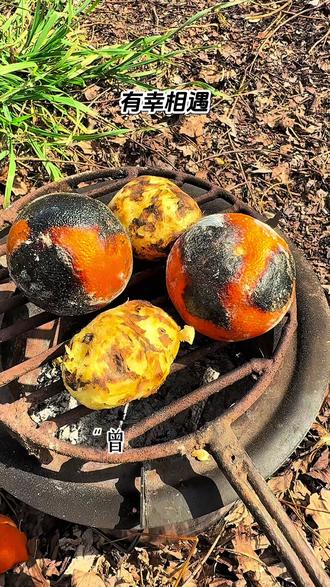 最想去的地方#回忆也是一种重逢 #人生感悟 #回忆是一种重逢 #智慧人生 #老家的味道