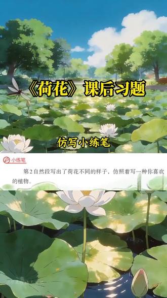 三年级下册语文《荷花》课后习题,第2自然段仿写小练笔 #三年级下册语文 #三年级语文 #小学语文 #作文素材