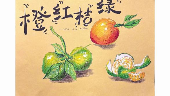 最是橙红橘绿时|橘子写生#手绘画 #少儿美育 #写生 #橘子 #缙云