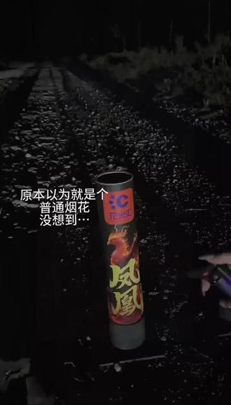 没想到这款普通烟花也能燃放得如此惊艳