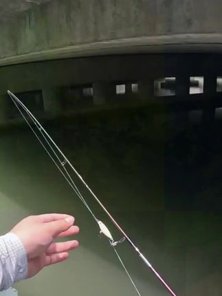之子狗之字水面系微物路亚饵翘嘴鲈鱼加强#之子狗 #微物路亚饵 #路亚饵 #路亚饵推荐 #钓鱼用品