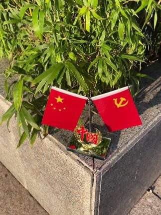 #祖国强大 #红旗飘 #五星红旗🇨🇳 #我爱我的祖国 #五星红旗迎风飘扬 何其有幸,生于华夏!见证百年,愿山河无恙,愿祖国繁荣昌盛风调雨顺!