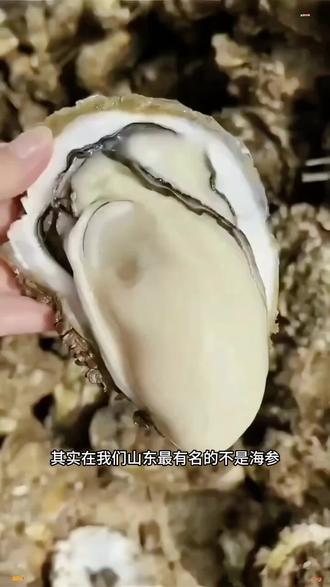#生蚝 山东深海生蚝,一口爆汁,饱满又肥美,拿来清蒸、煮汤、烧烤都可以,真的是怎么做都好吃,主要没有腥涩味,快给家里人做起来,解解馋吧~#种草好物 #特产美食 #吃生蚝 #抖音上买的好东西 好好吃啊