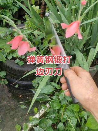 #原创视频 #好东西一起分享 #非物质文化遗产手工制作 #手工打造 #杀猪刀