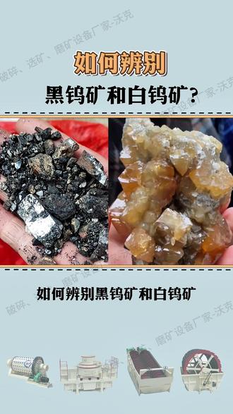 如何辨别黑钨矿和白钨矿?