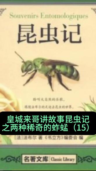 皇城来哥讲故事:昆虫记之稀奇蚱蜢(15)