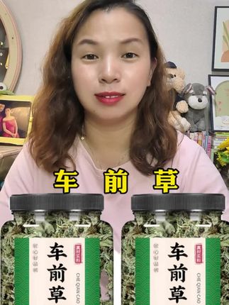 野生车前草#车前草 #车茶草 #青草