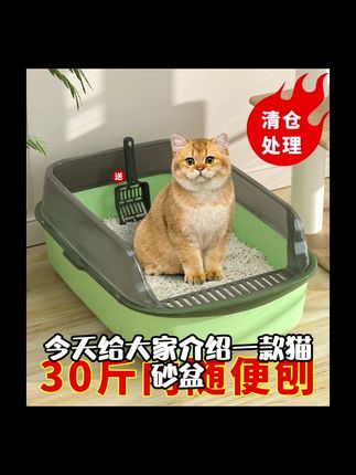 猫砂盆半封闭式开放防溅猫屎盆超大号猫厕所小号幼猫便盆猫咪除臭#养猫新手 #宠物用品 #萌宠 #小奶猫