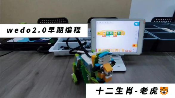 wedo2.0-早期编程#十二生肖老虎🐯 #假期课程