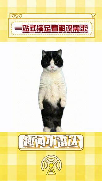 一站式满足看解说需求#抖音精选 #抖音细糠版 *甜菜