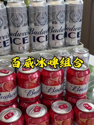 百威冰啤组合一共30罐,太划算了#百威 #强烈推荐 #啤酒#冰啤 #好货推荐