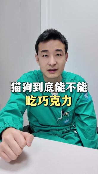 猫可以吃巧克力吗?#涨知识 #宠物医院 #知识科普 #新手养宠