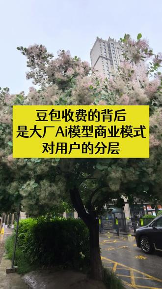 豆包付费的背后,是大厂Ai模型对用户的分层
#豆包 #豆包收费 #大模型 #Ai新能超人 #人工智能