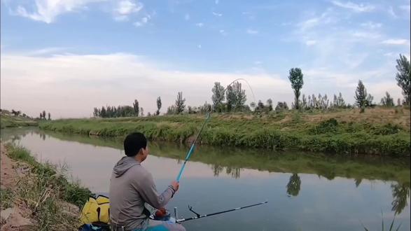 野钓逗钓狂拉鲤鱼,台钓却总空军?真相太颠覆#原来钓鱼才是抖音的运动顶流 #创作者中心 #创作灵感