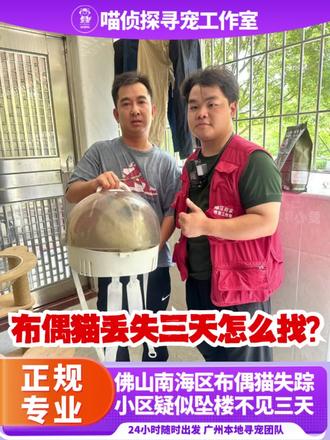 🔥成功找回🔥佛山南海高层小区坠楼出逃布偶猫 🔥【成功找回】🔥猫咪不见了怎么办❓ 喵侦探寻宠团队到达现场成功找回高层小区出逃不见3天的布偶猫🐱
📍广东佛山南海区🐾
高层丢猫别乱找😭佛山布偶猫失踪3天成功找回
谁懂高层小区丢猫的焦虑!!佛山南海宠主的布偶猫突然失踪🐱
自己和朋友盲找一整天毫无头绪,高层环境复杂,猫咪应激躲起来超危险,多拖一天风险翻倍!
很多人贪便宜找外包兼职寻宠🙅♀️ 临时人员没经验、不熟悉本地环境,潦草排查就收尾,大概率白花钱!
宠主紧急委托我们【喵侦探本地寻宠工作室】✅
指派实战资深全职寻宠队长上门!结合小区地形、猫咪习性,靠脚印、毛发细节+专业设备精准排查🔍
沉浸式细致搜寻,顺利找到躲起来的委屈小猫,安全护送回家!
只选本地全职团队!无中间商、经验靠谱,丢宠立刻找我们,不放弃就有希望✨
#上热门 #专业找猫团队#本地找猫团队#猫不见了怎么找回#找猫攻略
