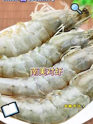#美食教程 #蒜蓉粉丝虾 #厄瓜多尔虾#南美对虾 南美对虾