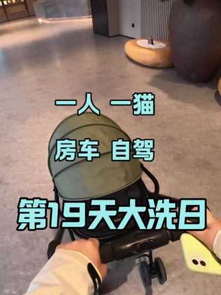 一人一猫房车自驾第19天大洗日! sorry宝宝们,等老公走了以后就日更哈#房车#房车自驾游#房车生活