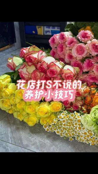 新手摆摊卖花如何养护鲜花,40个养花技巧教给大家#摆摊卖花 #摆摊卖花教程 #鲜花养护#鲜花 #摆摊卖花攻略