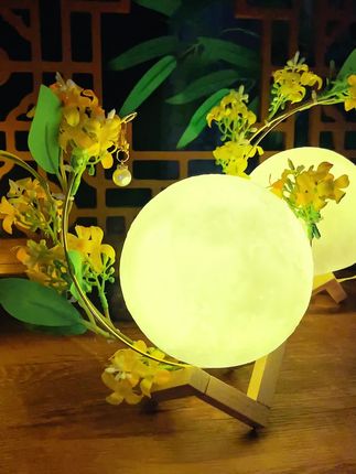 中秋至 桂飘香 月照明🌙,一款做摆件,氛围布置都很合适的桂 花月球灯#中秋节手工灯笼 #中秋节 #灯笼手工 #手工diy #花灯