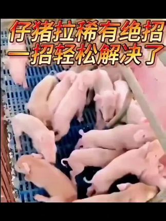 #自繁自养 #三农 #好物推荐🔥 #农村创业养殖