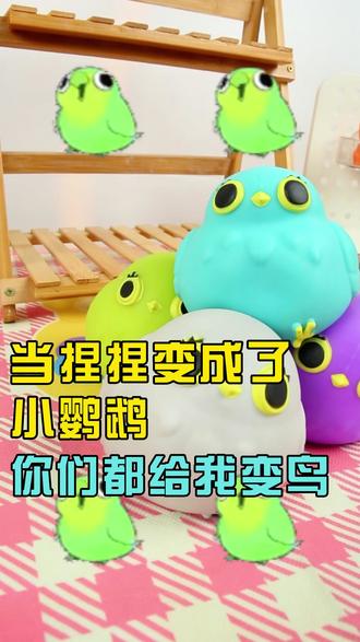 可可爱爱的小鹦鹉,你们都给我变鸟~ #鹦鹉 #解压 #解压玩具 #捏捏乐 #玩具