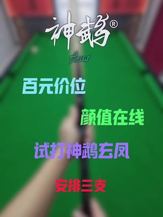 颜值打感双在线的神鹉玄凤,打感到底怎么样 #台球器材 #台球 #台球装备 #台球是一种生活