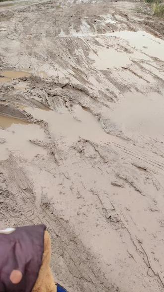 @四川省巴中市恩阳镇明阳乡4村1社,