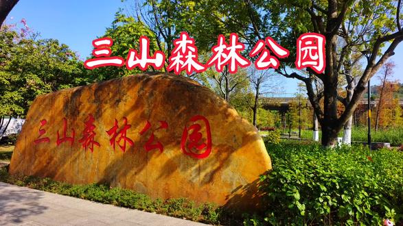 佛山三山森林公园有超大阳光草坪适合搭建帐篷,是理想的休闲营地,莲池荷塘溪谷、儿童游乐区,桥下极限运动场等。展览书吧、淋浴室等设施完善,满足全龄化需求