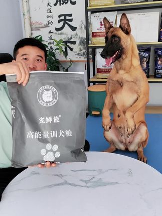 宠鲜能鲜肉训犬粮,含肉量40%,多种大小规格,是一款高肉高能量的营养犬粮#训犬粮#鲜肉狗粮#宠鲜能鲜肉狗粮#狗粮推荐
