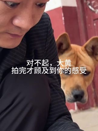 为大黄点个赞吧 我在拍猫罐头时的确没怎么注意它,它从头到尾都没和猫抢一口,它一直坚挺的忍住着欲望。#家有中华田园犬