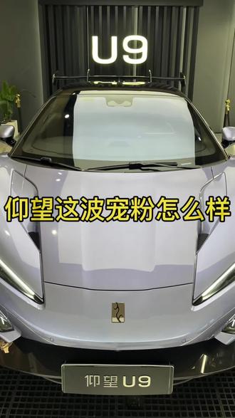 仰望的这波宠粉怎么样?#仰望汽车 #汽车那些事 #汽车销售日常