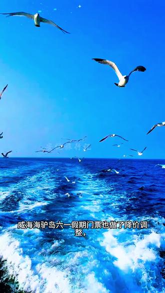 威海海驴岛六一假期门票也做了降价调整,儿童票29.9元,成人票99元,有效期是5月30日至6月14日。这波优惠还是很大的。海贼岛的航行时间约40分钟,成千上万的海鸥随船伴飞,真的很震撼也很出片。孩子对海鸥的喜欢真的是没有抵抗力。我把购票链接放在了视频左下角位置,大家可以点击购买,如果你还有其他问题,可以在留言区留言。#海驴岛景区 #黑尾鸥之乡 #威海初夏的这抹粉浪漫超标了#海驴岛#威海网红打卡地
