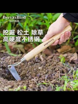Berry&Bird园艺森林不锈钢小锄头便携短木柄锄头家用种菜工具养花 【#园艺工具 #不锈钢锄头 #便携短柄 #种菜养花 #家用神器】