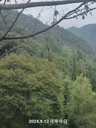 往年的今天#我的乡村生活 #大山里的原生态 #天然氧吧 #农村老家