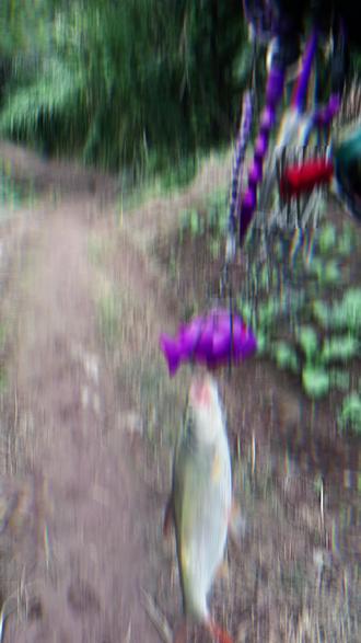 钓鱼去不去,#路亚钓鱼 #钓鱼只有钓鱼人懂