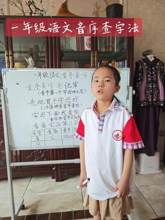 陶子讲课|一年级语文音序查字法#一年级语文知识点 #家庭自学 #自学真棒