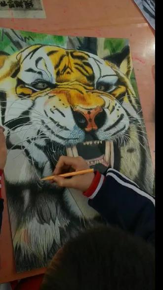 六年级学生画的大老虎,满满的成就感#画画 #绘画 #济南