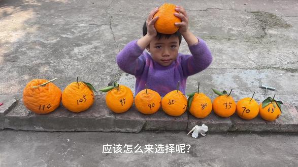 这个视频,是根据我多年吃耙耙柑的经验,得出的结论,供外地朋友网购的时候,做个参考哈,仅代表个人观点,不同观点,可以讨论,但不喜勿喷咯。#耙耙柑 #春见耙耙柑 #记录真实生活