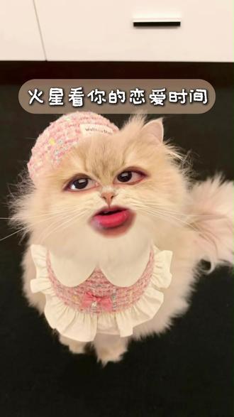 火星看你的恋爱时间 #星盘 #星盘分析 #情感 #占星