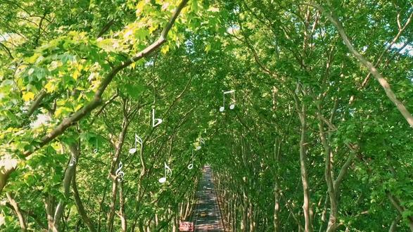 这里,是自然与艺术的交汇点。东西方乐器的完美融合,恰逢中秋月圆,以乐传情、以艺共聚;星月为序,森林成厅,共谱一场超越传统的视听盛宴。#2025南京森林音乐会 #我在南京听世界 ,邀您月下相逢,不见不散~即日起 大麦网、携程、猫眼、票星球已全面开票 搜索“2025南京森林音乐会” 即可购票观演~