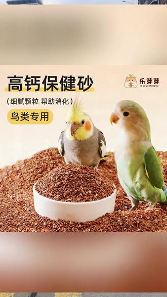 新手害鸟的行为‼️ #鹦鹉保健砂 #鹦鹉 #鹦鹉日常